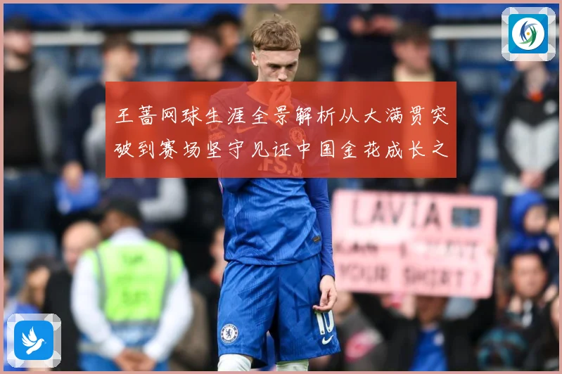 王蔷网球生涯全景解析从大满贯突破到赛场坚守见证中国金花成长之路-深度解析