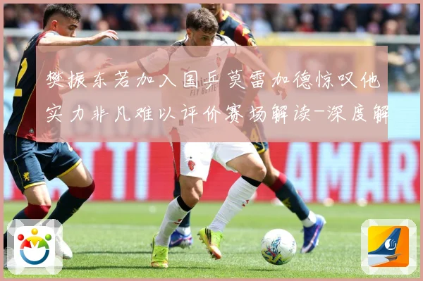樊振东若加入国乒莫雷加德惊叹他实力非凡难以评价赛场解读-深度解析