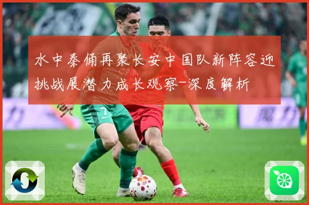 水中秦俑再聚长安中国队新阵容迎挑战展潜力成长观察-深度解析