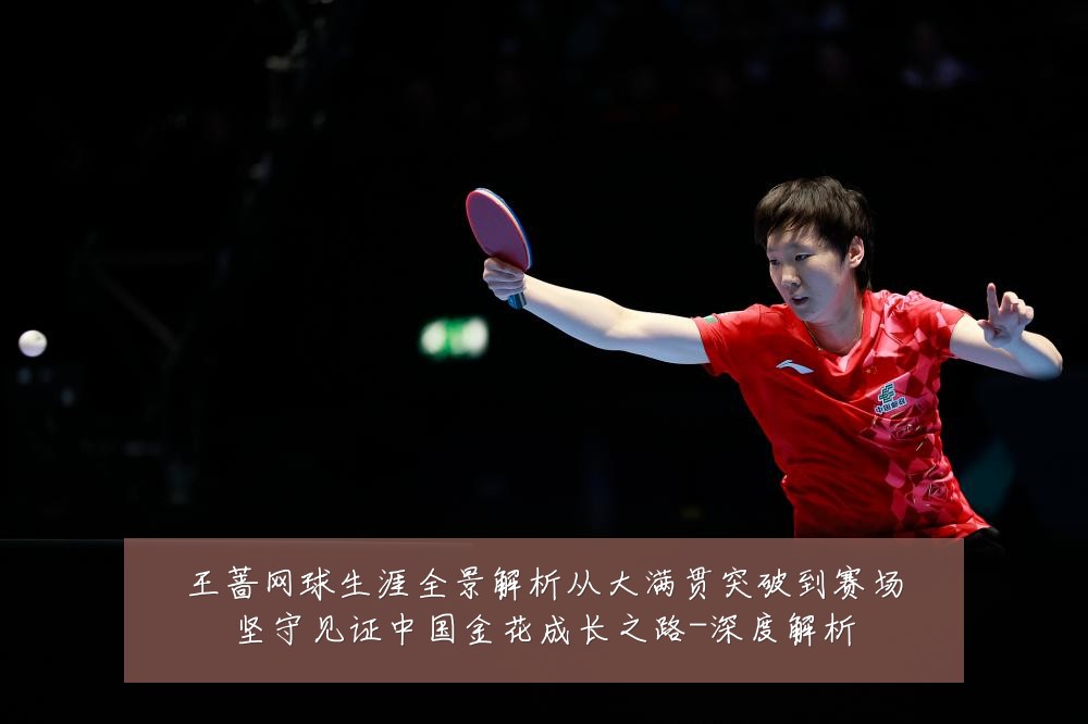 王蔷网球生涯全景解析从大满贯突破到赛场坚守见证中国金花成长之路-深度解析